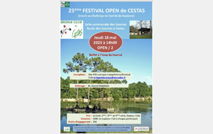 25ème Festival open de Cestas